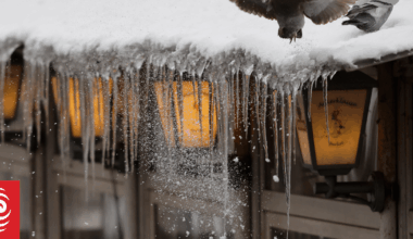 Storms spark travel mayhem and power cuts in northern Europe