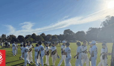 Hundreds of young cricketers battle Hawke's Bay heat for annual tournament