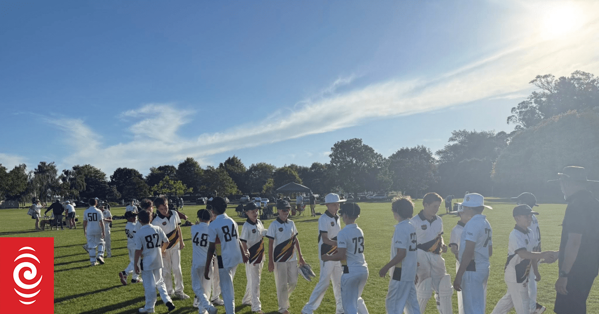 Hundreds of young cricketers battle Hawke's Bay heat for annual tournament