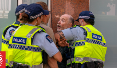 Former Wellington mayoral hopeful Graham Bloxham arrested at Venezuela protest