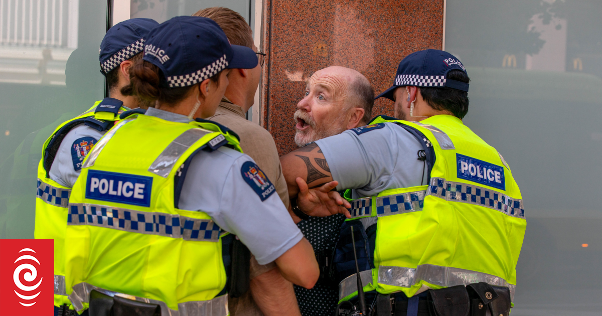 Former Wellington mayoral hopeful Graham Bloxham arrested at Venezuela protest