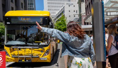 Passengers urged to wave down buses - but not required