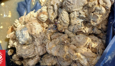 Wipes and rocks wreak havoc on Tasman’s wastewater