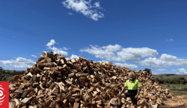 Wood seller urges crackdown over 'firewood cowboys' on Facebook