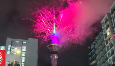 'Well behaved': Police, St John report quiet night as Kiwis celebrate New Year