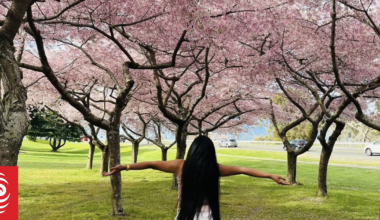 The tragic story behind Hawke’s Bay’s blossom spot