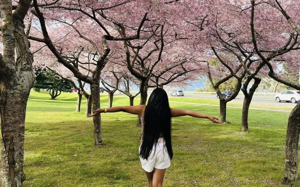 A visitor enjoys the view at the flowering cherry grove's blossom.
