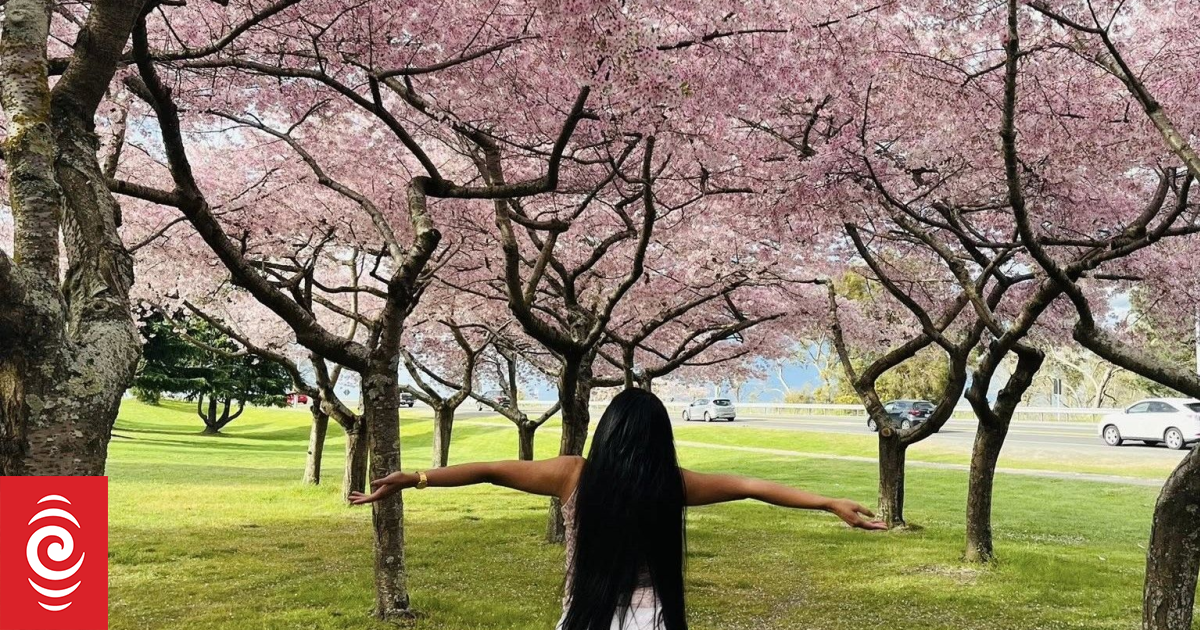 The tragic story behind Hawke’s Bay’s blossom spot