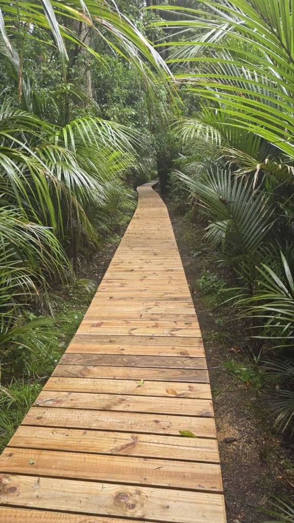 The upgraded Lovers Walk at Auckland Domain has finally re-opened after three years.