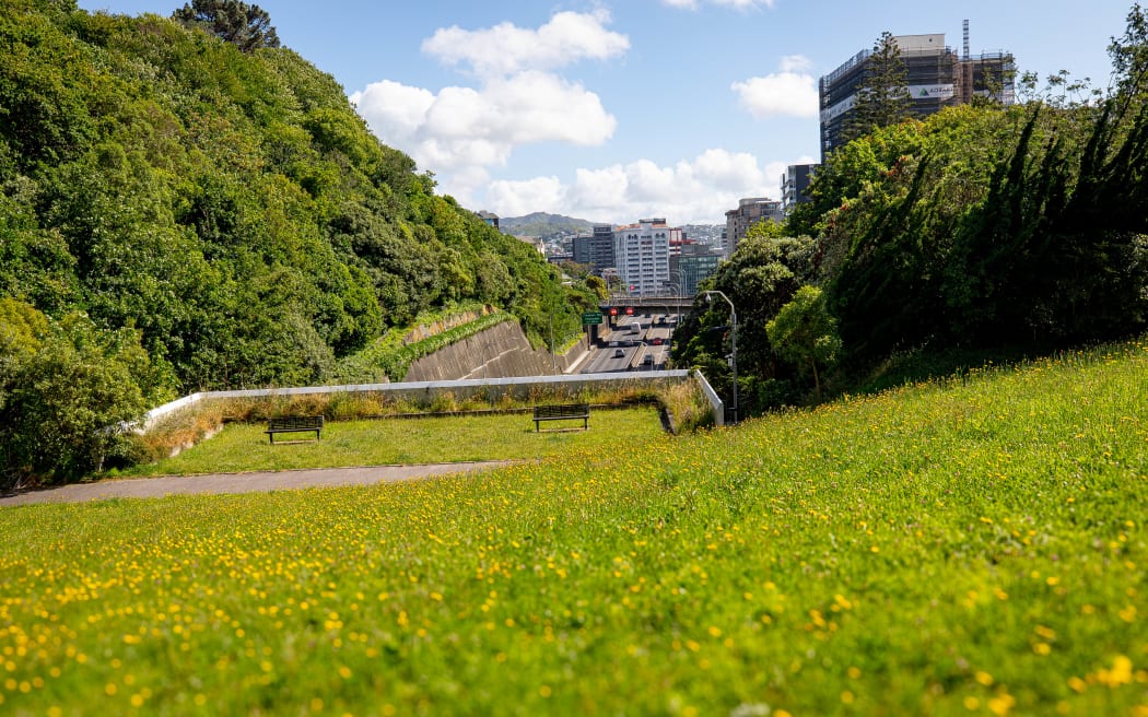 Kumutoto Stream, The hidden river in wellington city