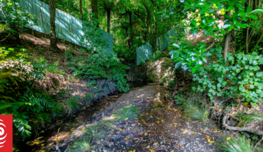 The hidden river that shapes central Wellington