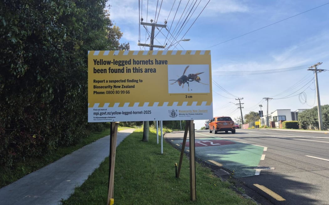 A sign warning of yellow-legged hornets on the North Shore in Auckland.