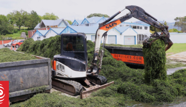 Lake weed: Minister reviews funding after Rotorua clean-up costs over $133,000