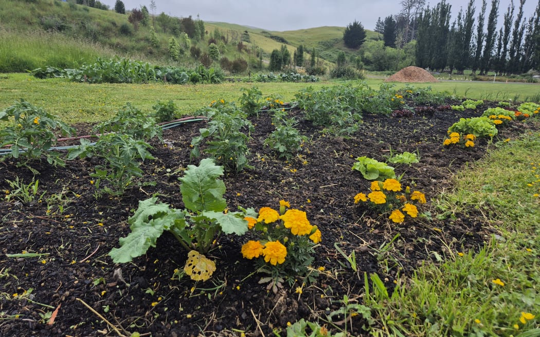 Puke Aute papakāinga is in Te Hauke, about 20 minutes south of Hastings in Hawke's Bay.