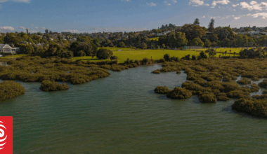 Hobson Bay residents fed up with sewage overflows