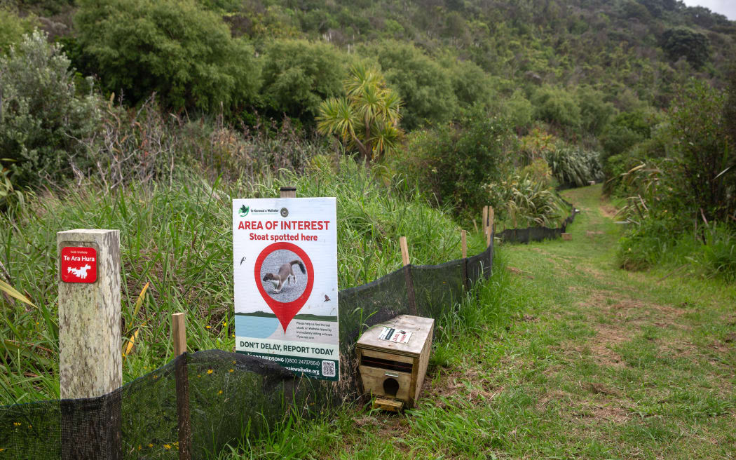 Tilde Sorenson and her dog Parker