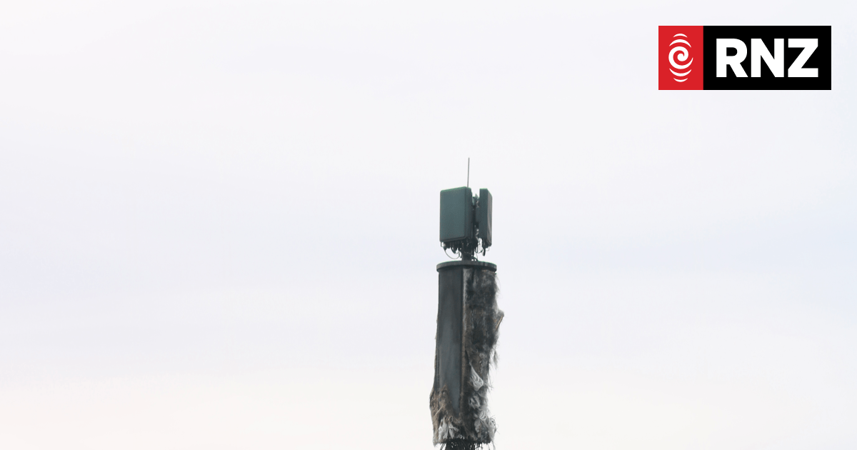 Alleged Wānaka cell tower arsonist Daniel Miller refuses to answer judge