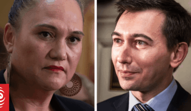 Morning Report political panel: Brown, Sepuloni trade accusations on deadly storms