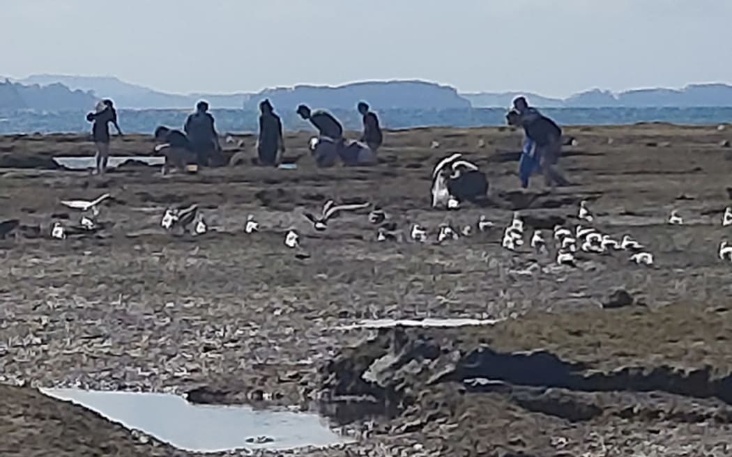 A group of people at the Army Bay rock pools.