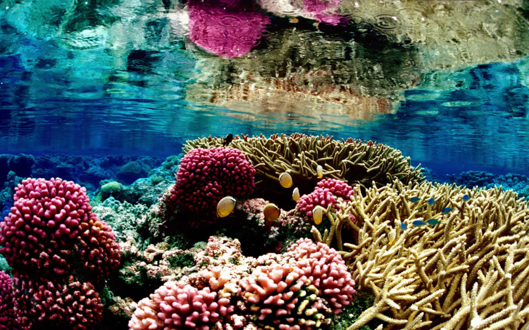 Pacific Islands Heritage Marine National Monument is an area spanning more than 1.2 million square kilometers of ocean.