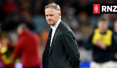 Joe Schmidt out of running as All Blacks coach - report