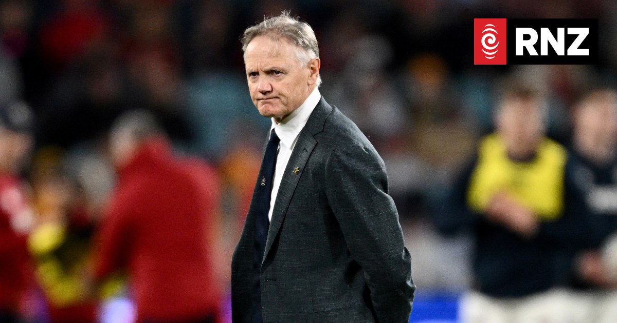 Joe Schmidt out of running as All Blacks coach - report