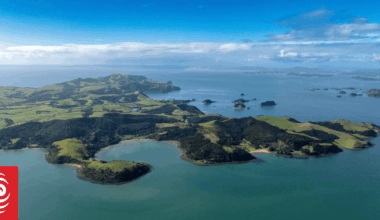 Death of Bay of Islands kiwis investigation continues with two dogs seized