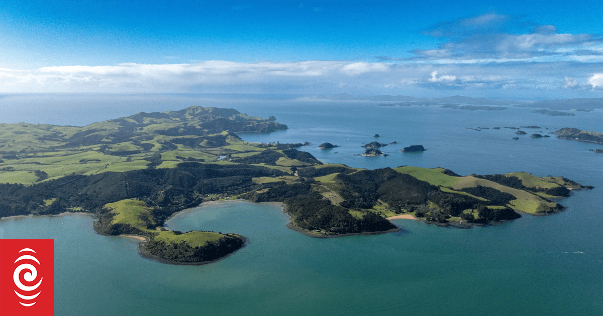 Death of Bay of Islands kiwis investigation continues with two dogs seized