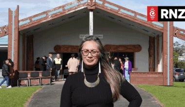Greens put forward member's bill to entrench Māori seats