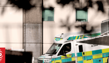 Person dies after two-vehicle crash in Auckland's Dairy Flat