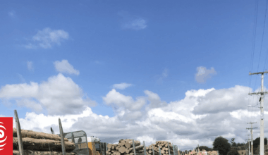 Transporting NZ warns of 'double-dipping' motorists with tolls on existing roads