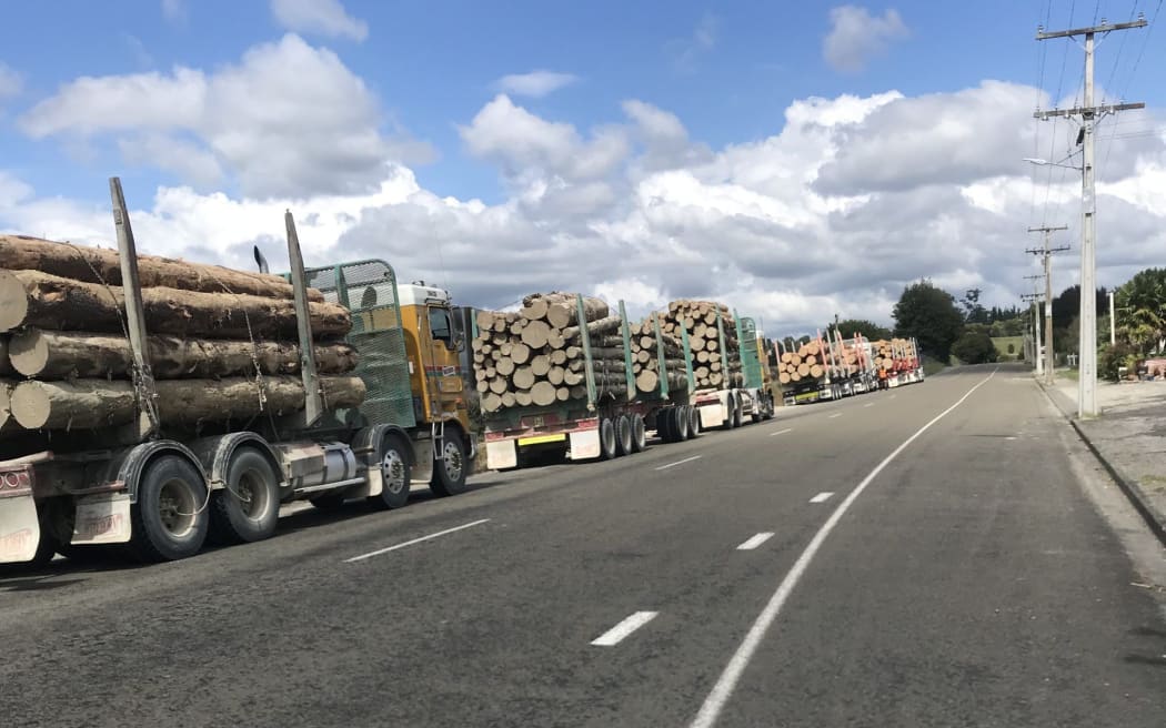 Image of Trucks in the Whatatutu area.