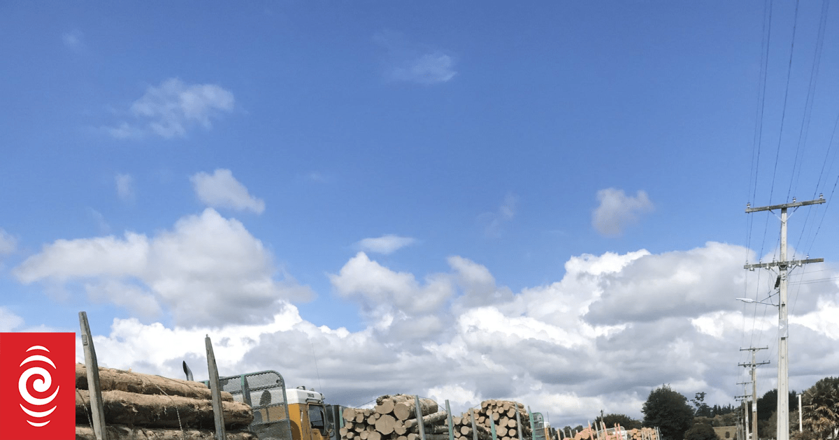 Transporting NZ warns of 'double-dipping' motorists with tolls on existing roads