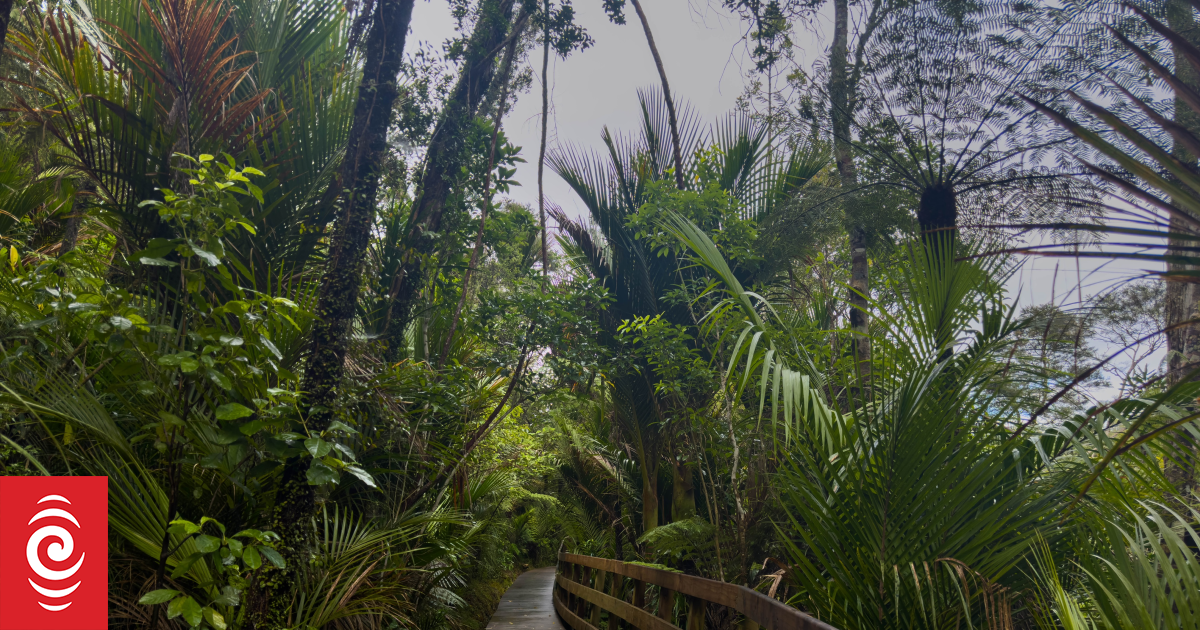 Frustration as Auckland's storm-damaged tracks still shut off