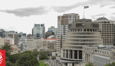 Nearly 40% of voters think Treaty of Waitangi has too much influence on government decisions - poll