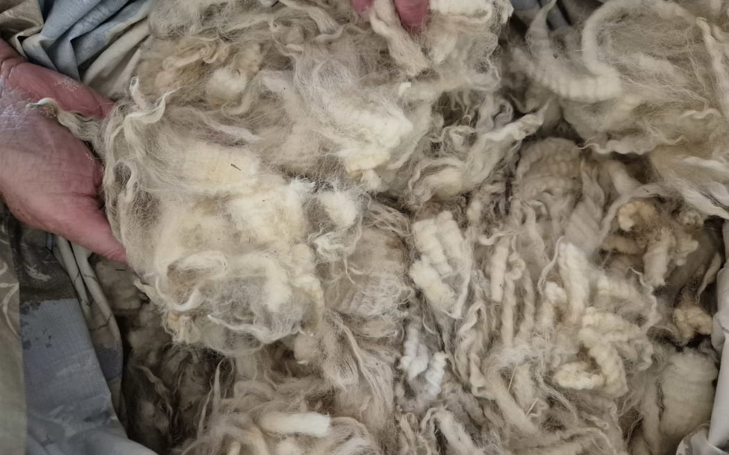 Some of the raw wool sourced from Taranaki farms.