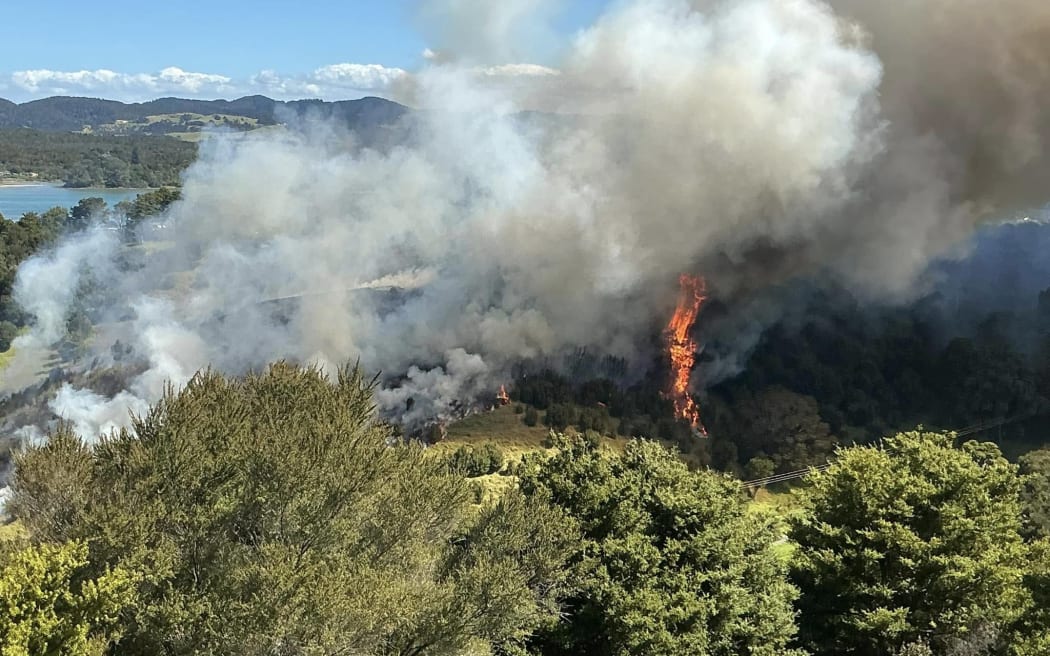 A bushfire in Ngunguru, Northland