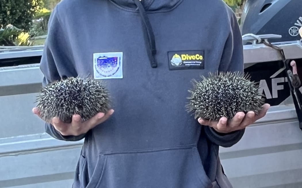 Ming Guan, a Chinese fishing enthusiast from Auckland, urges people to follow New Zealand’s fishing rules and to always prioritize water safety.