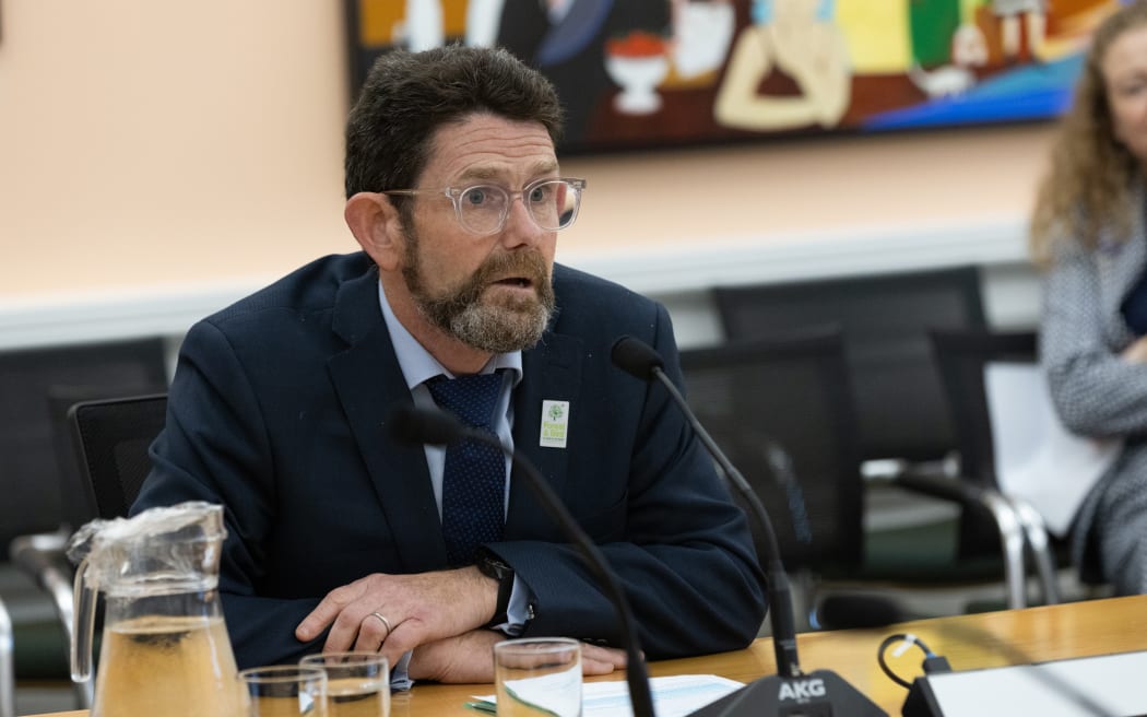 Richard Capie from Forest and Bird gives evidence to the petitions Committee.