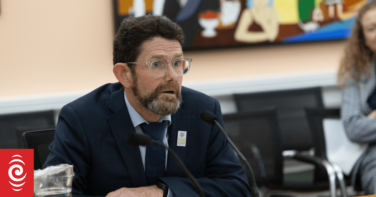 'War on nature': Forest and Bird says govt changes put wildlife at risk