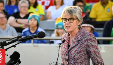 Netball NZ gets new interim boss and a high performance expert