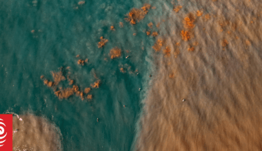 'Darkwaves': New research sheds light on underwater phenomenon