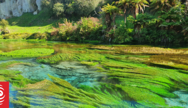 Leaders to meet over tourists trashing Blue Spring