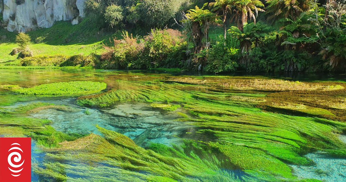 Leaders to meet over tourists trashing Blue Spring