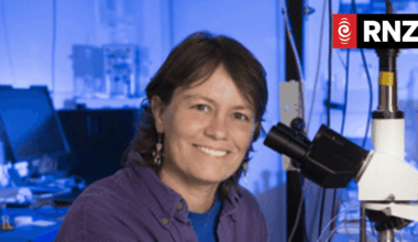 Government spends $1.35m on quantum and photonic research