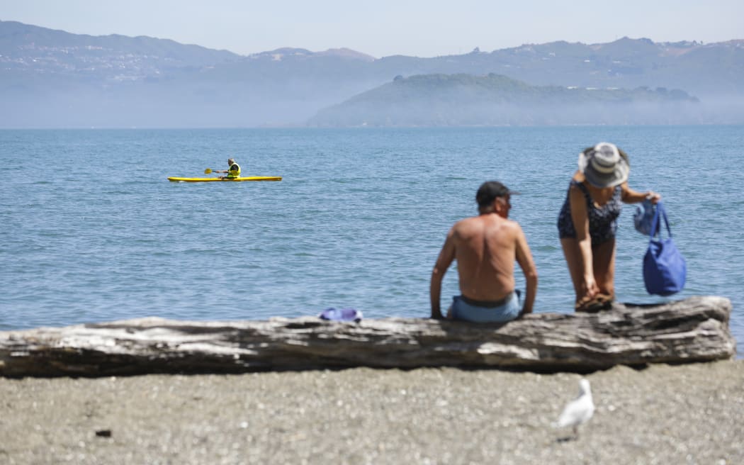 Summer in Eastbourne, Wellington.