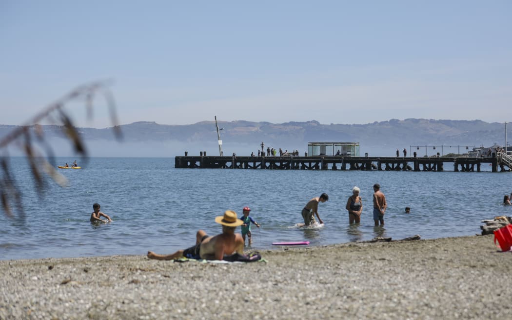 Summer in Eastbourne, Wellington.