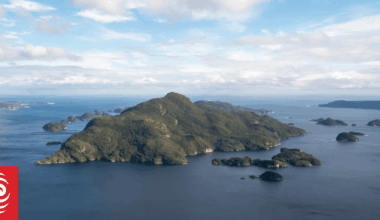 Remote Fiordland islands deer-free again after pests removed during annual sweep