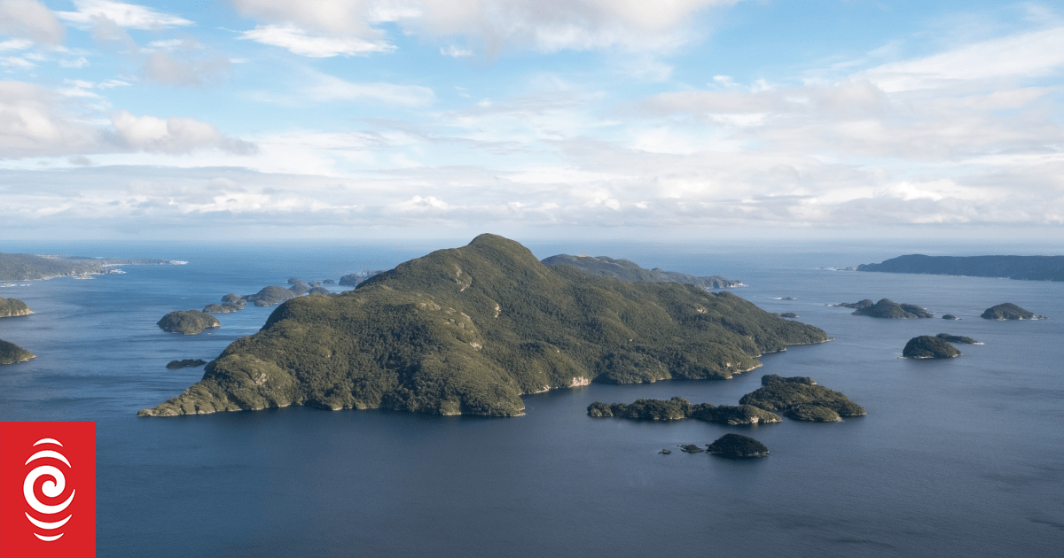 Remote Fiordland islands deer-free again after pests removed during annual sweep
