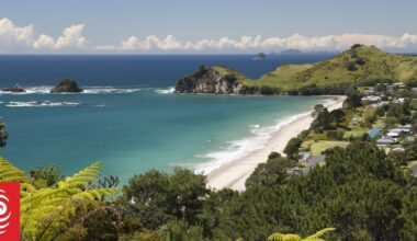 Auckland lawyer Jack Oliver-Hood dies at Coromandel beach